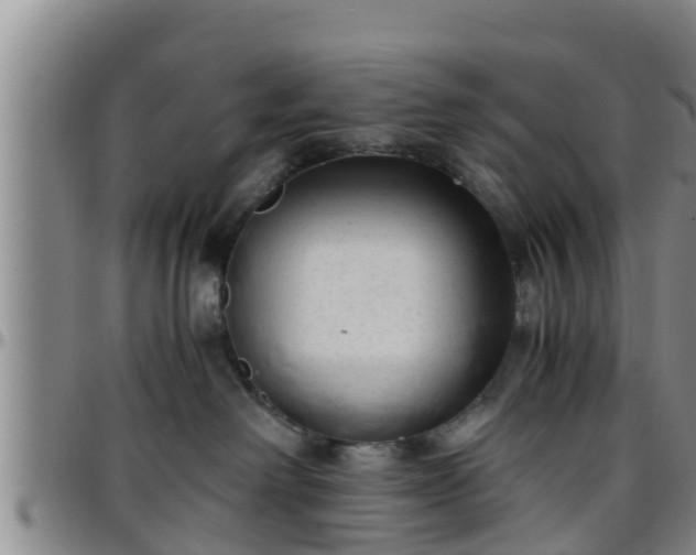 X0000096400238200801311357