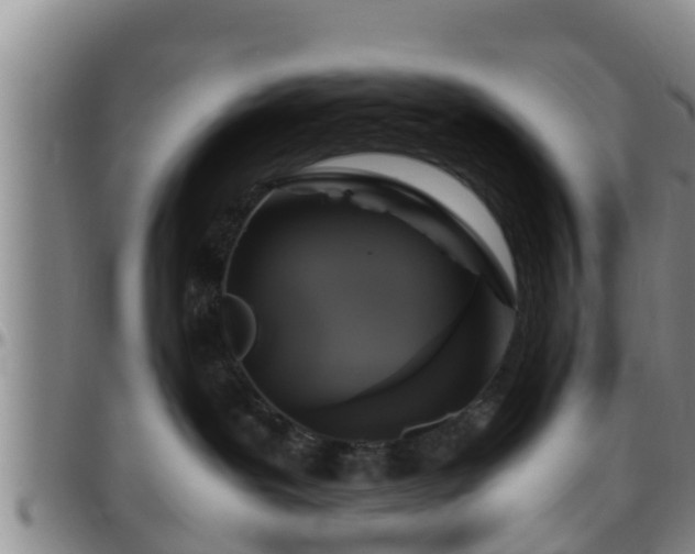 X0000096400239200801311357