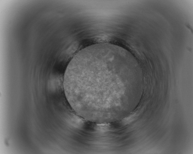 X0000096400240200801311357