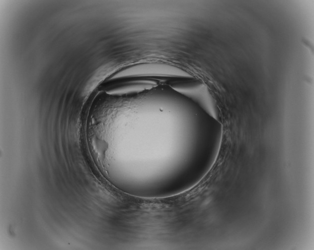 X0000096400242200801311357