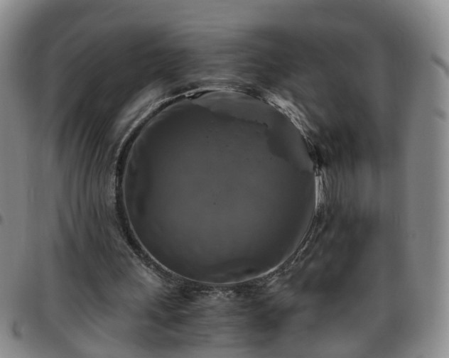 X0000096400243200801311357