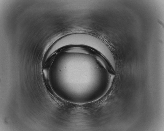 X0000096400244200801311357