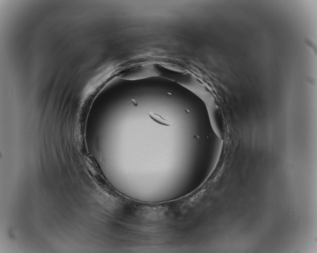 X0000096400245200801311357