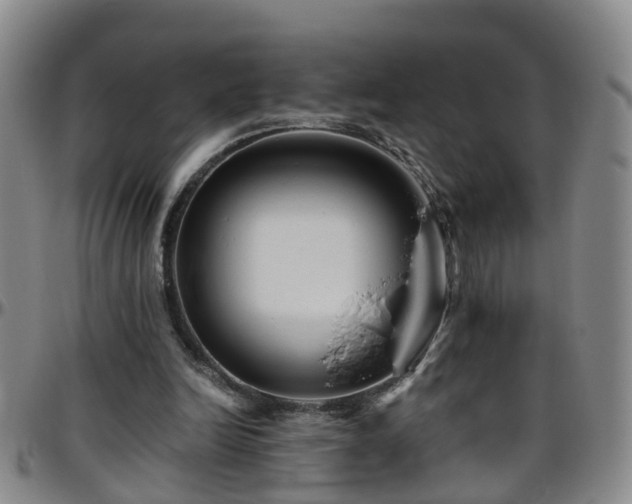 X0000096400246200801311357