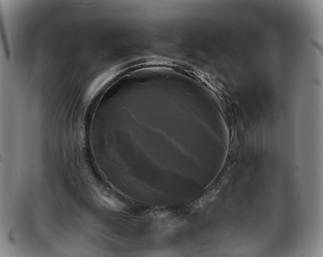 X0000096400247200801311357