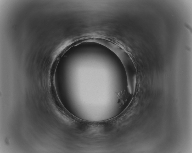 X0000096400248200801311357