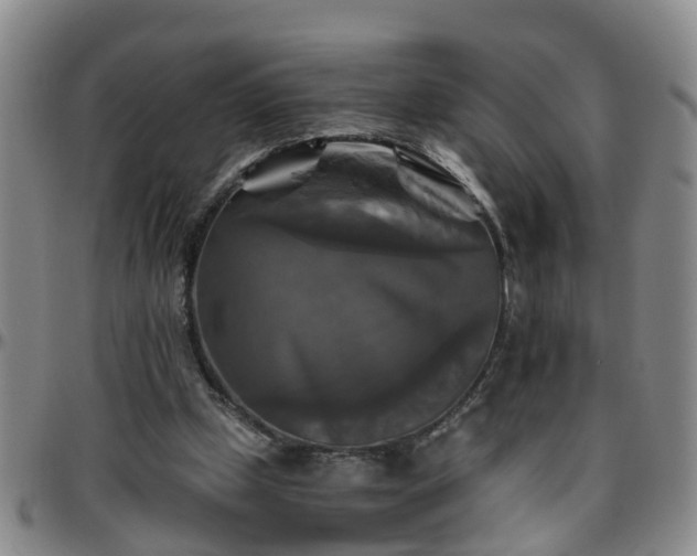 X0000096400249200801311357