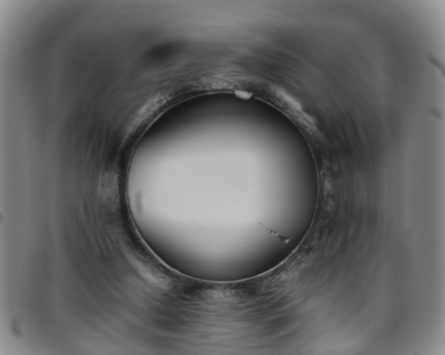 X0000096400250200801311357