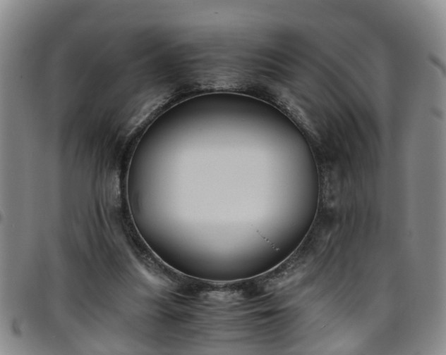 X0000096400251200801311357