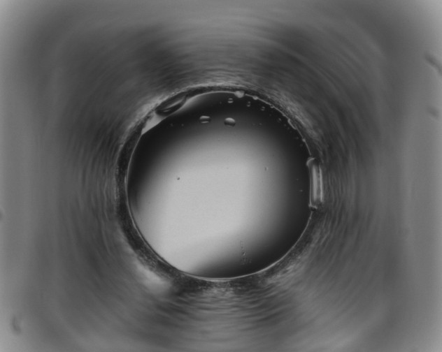 X0000096400252200801311357