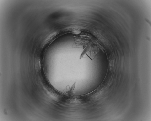 X0000096400254200801311357