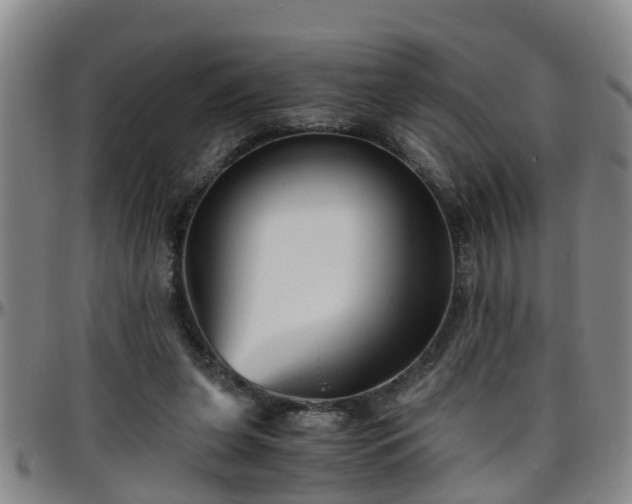 X0000096400255200801311357