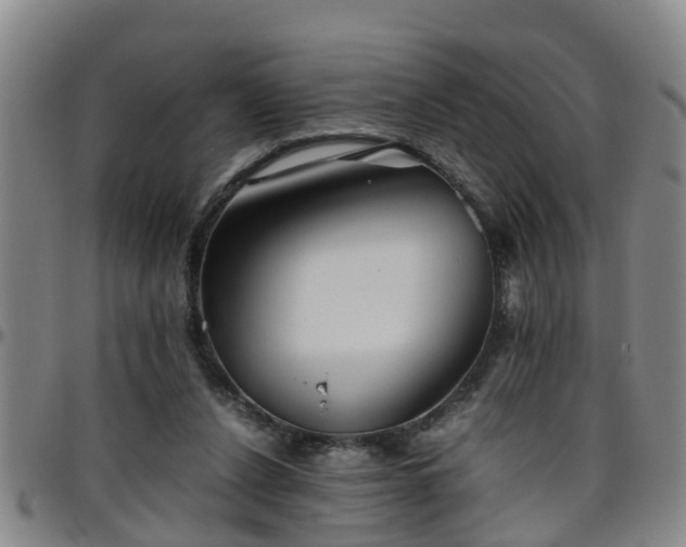 X0000096400256200801311357