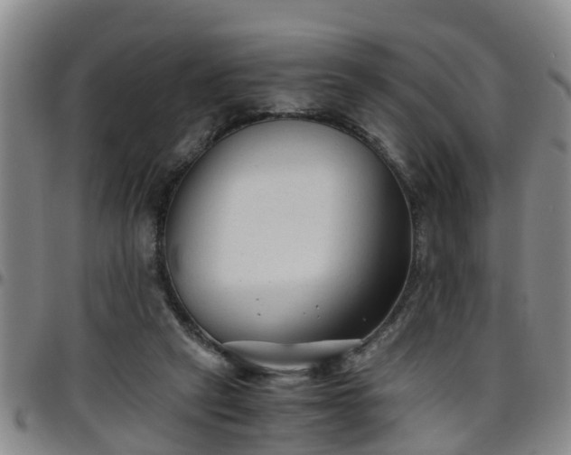 X0000096400257200801311357