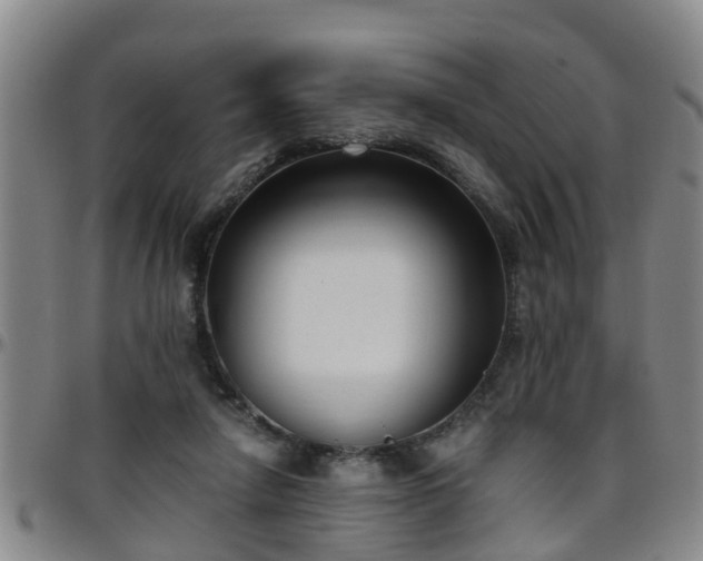 X0000096400258200801311357