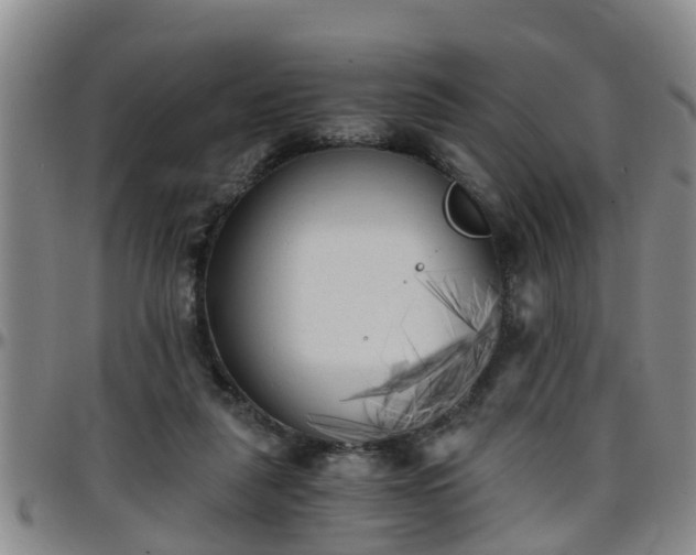 X0000096400259200801311357