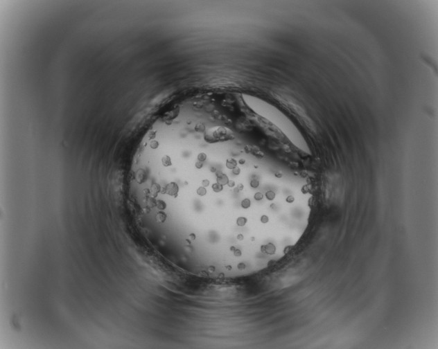 X0000096400260200801311357