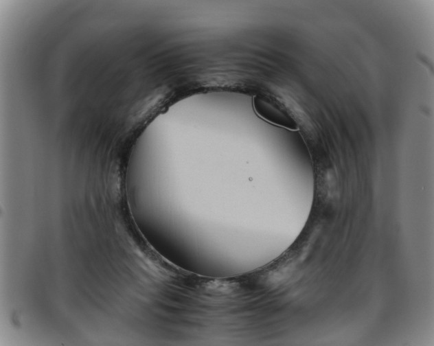 X0000096400261200801311357