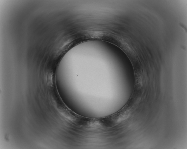 X0000096400262200801311357