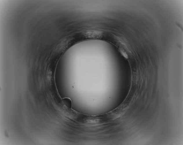 X0000096400263200801311357