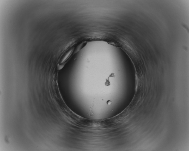 X0000096400264200801311357