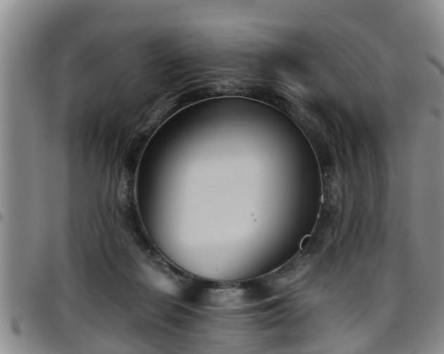 X0000096400266200801311357