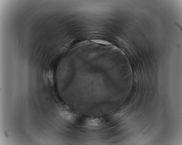 X0000096400267200801311357