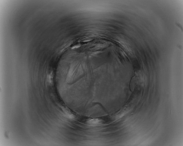 X0000096400269200801311357