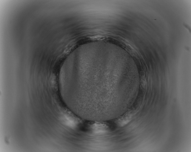 X0000096400270200801311357