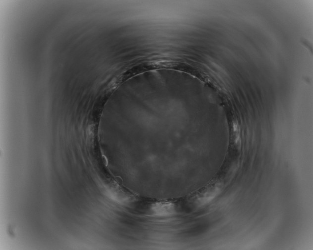 X0000096400271200801311357