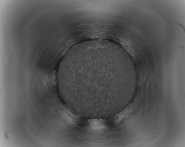 X0000096400273200801311357