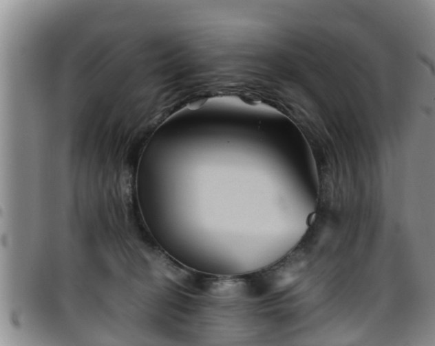 X0000096400274200801311357