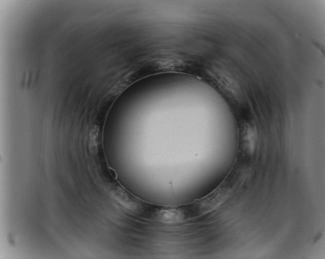 X0000096400275200801311357