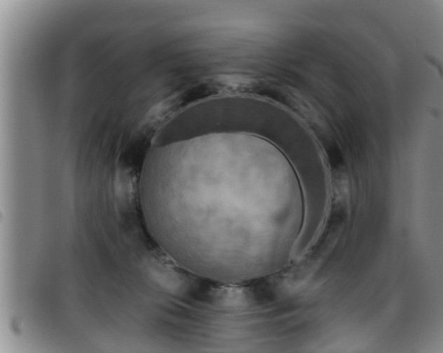 X0000096400276200801311357