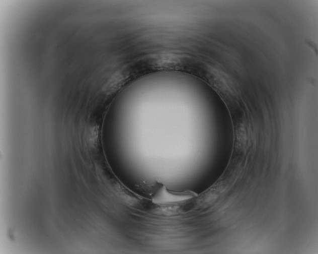 X0000096400278200801311357