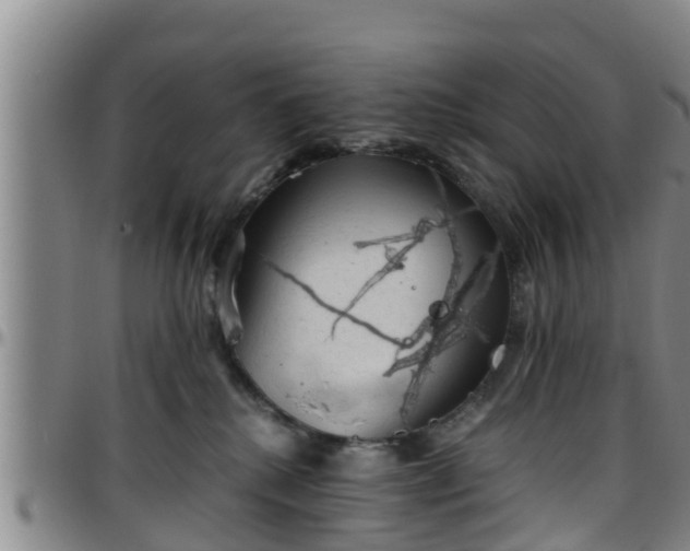 X0000096400280200801311357