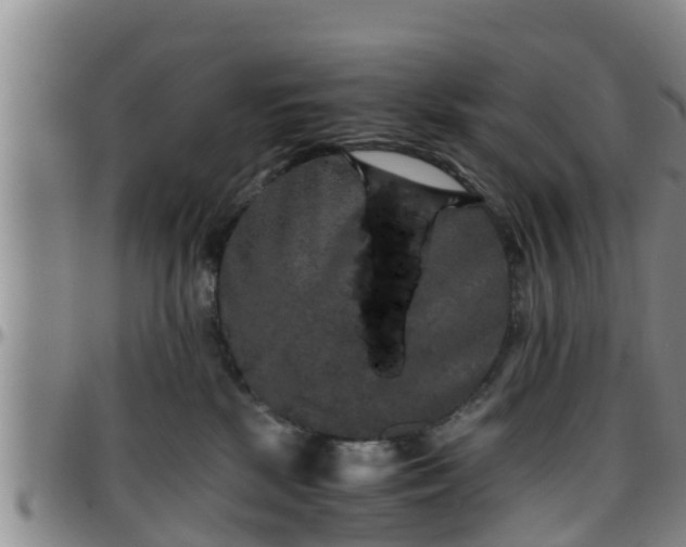 X0000096400281200801311357