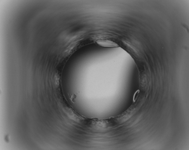 X0000096400282200801311357