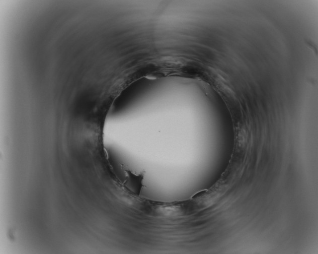 X0000096400283200801311357