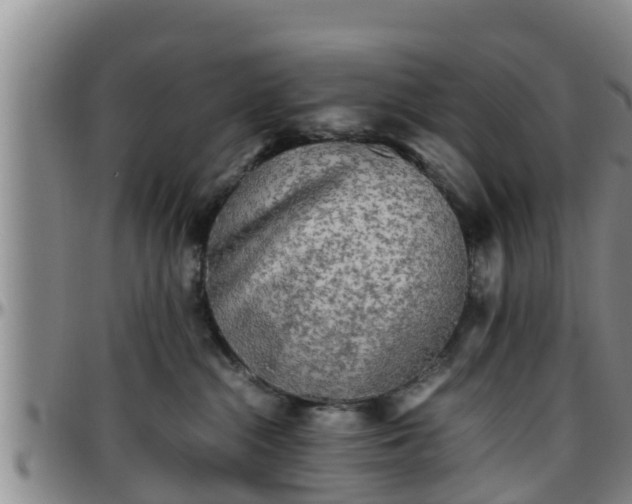 X0000096400284200801311357