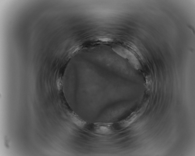 X0000096400285200801311357