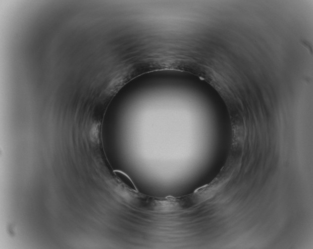 X0000096400286200801311357