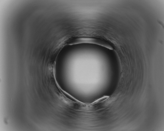 X0000096400288200801311357