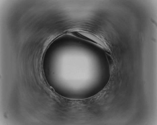 X0000096400289200801311357