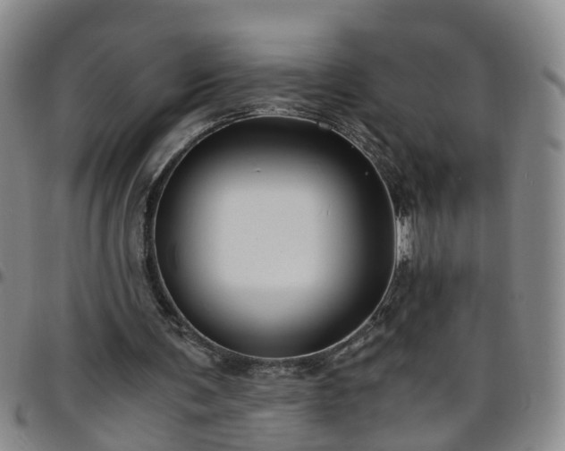 X0000096400291200801311357