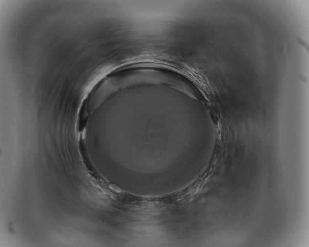 X0000096400292200801311357