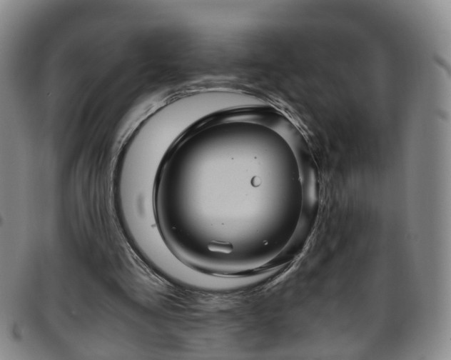 X0000096400293200801311357