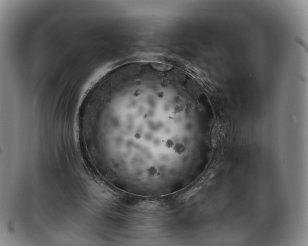 X0000096400294200801311357