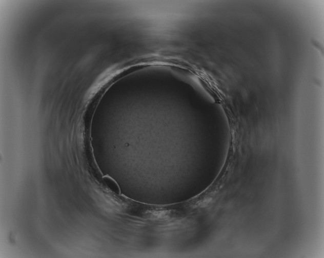 X0000096400295200801311357