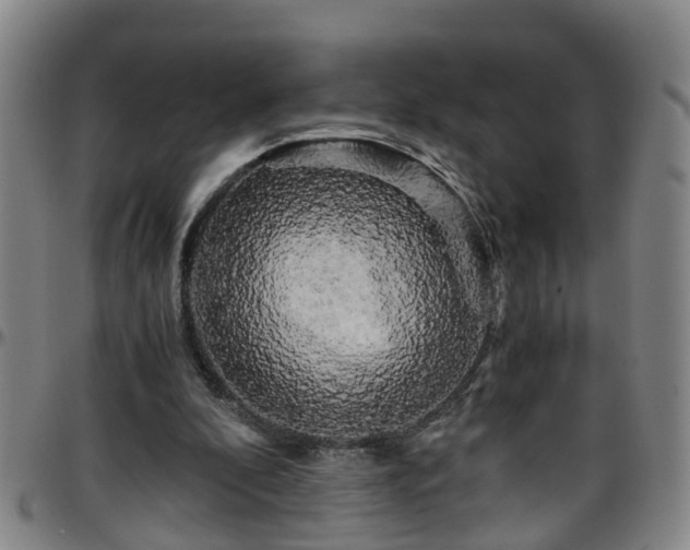 X0000096400296200801311357